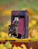 Антикварная фотокамера EASTMAN KODAK начала 20 века - Классическая антикварная фотокамера EASTMAN KODAK - прекрасный подарок на Новый Год, ценный бизнес сувенир, оригинальный подарок учителю.
