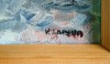 «Красные паруса» - картина маслом, V Larsson,  Швеция - «Красные паруса» - картина маслом, V Larsson,  Швеция